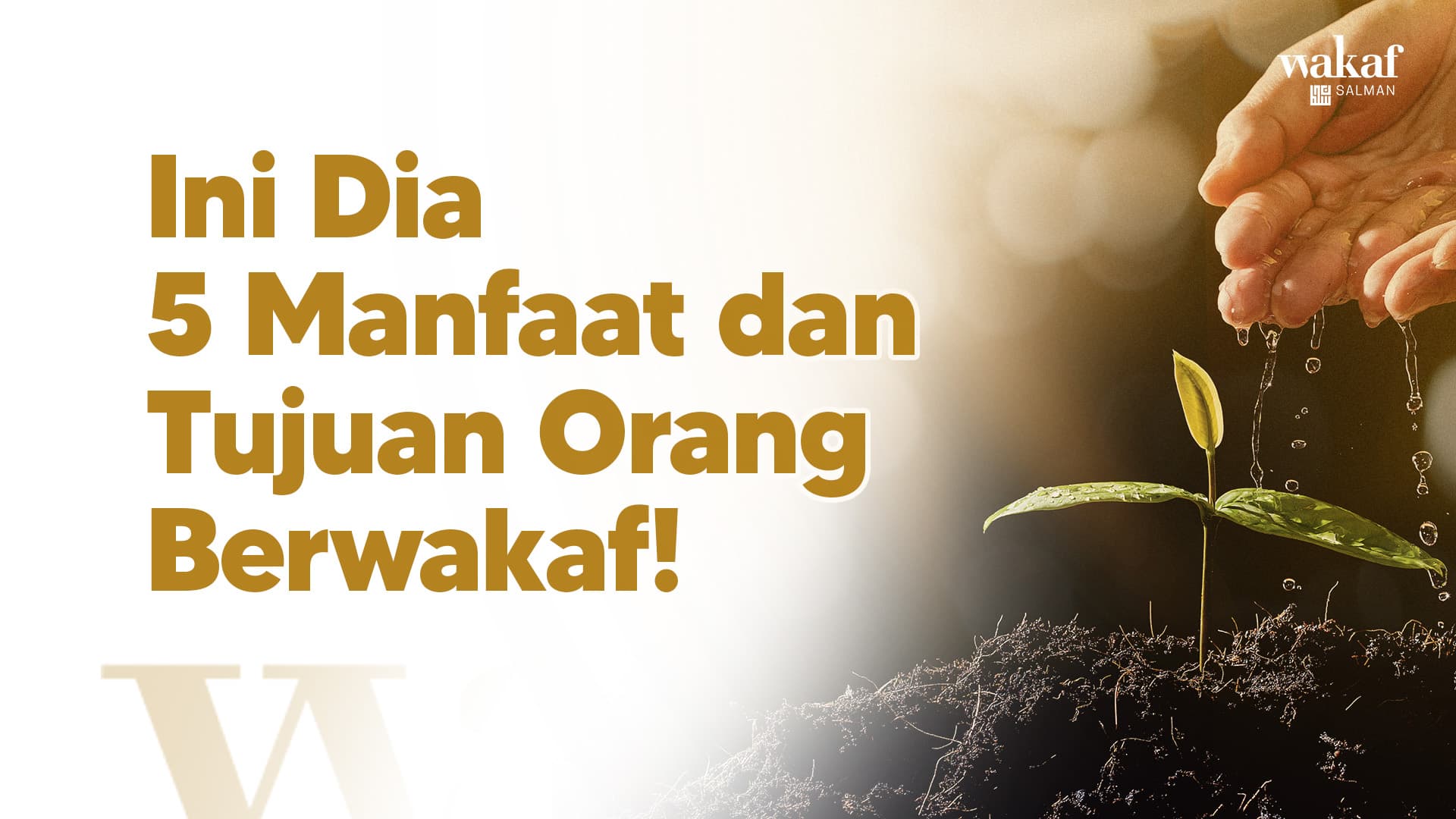 Wakaf Salman