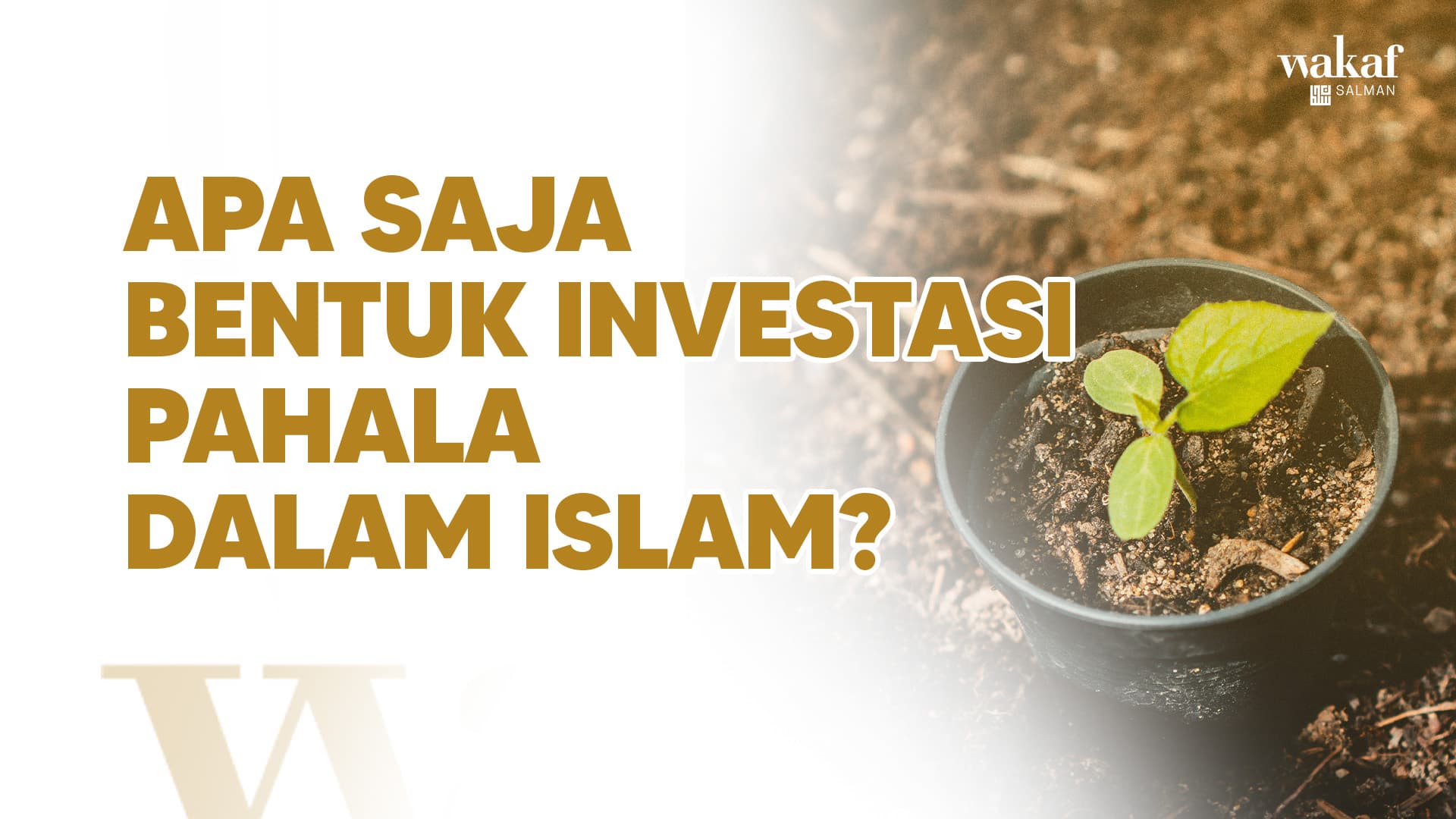 Wakaf Salman