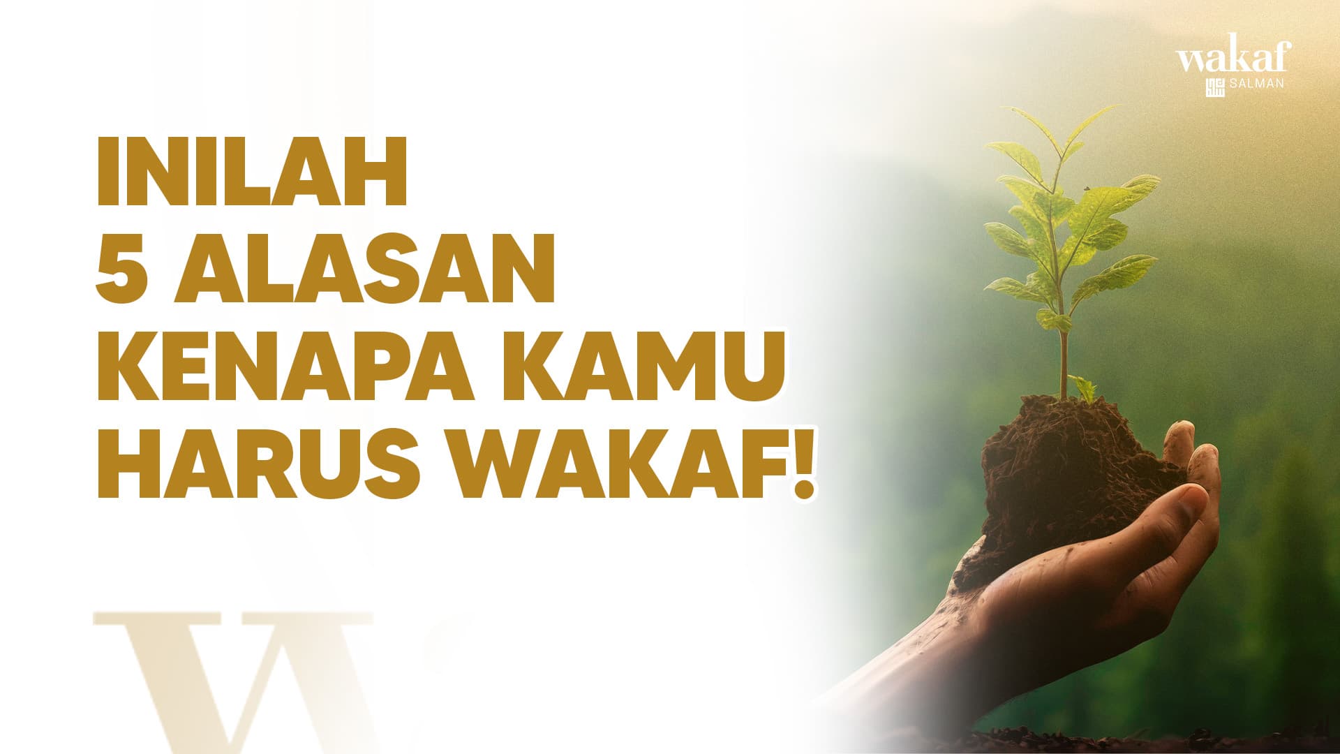 Wakaf Salman