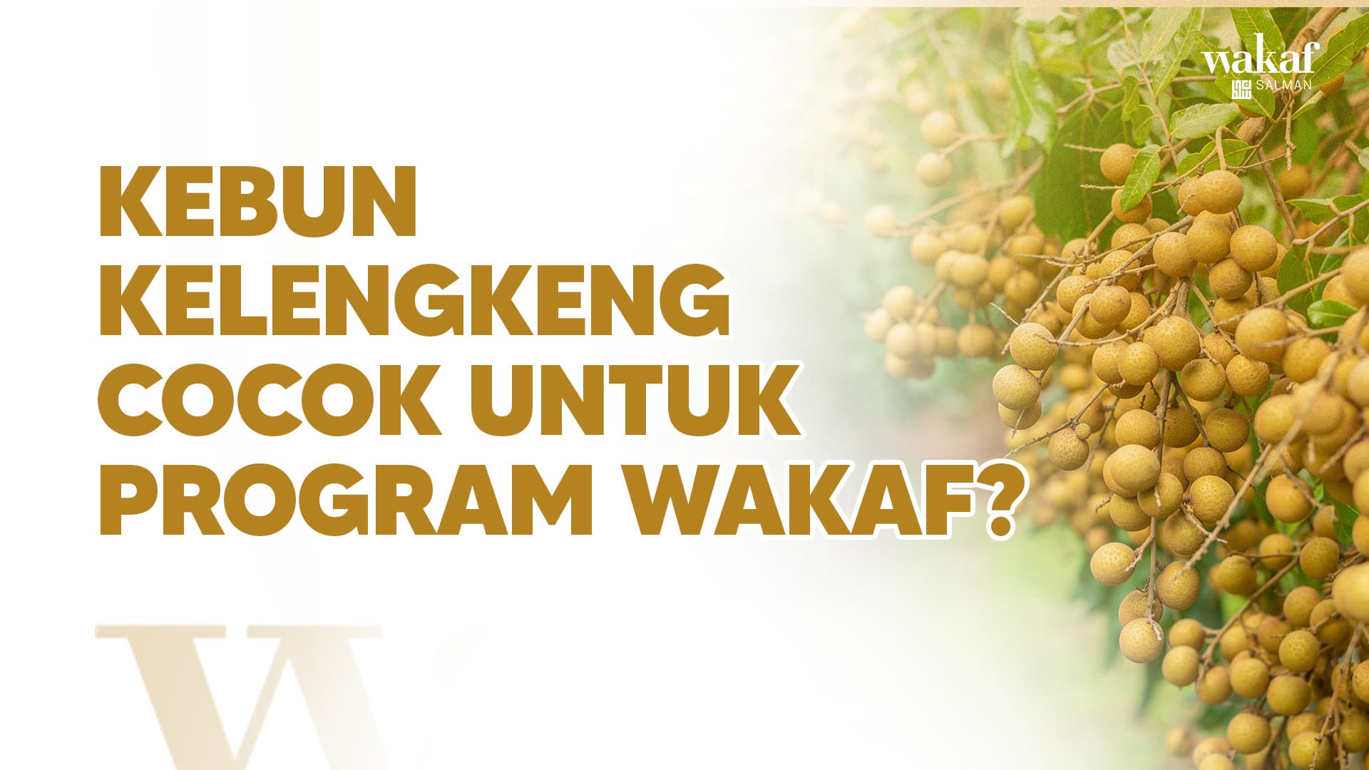 Wakaf Salman