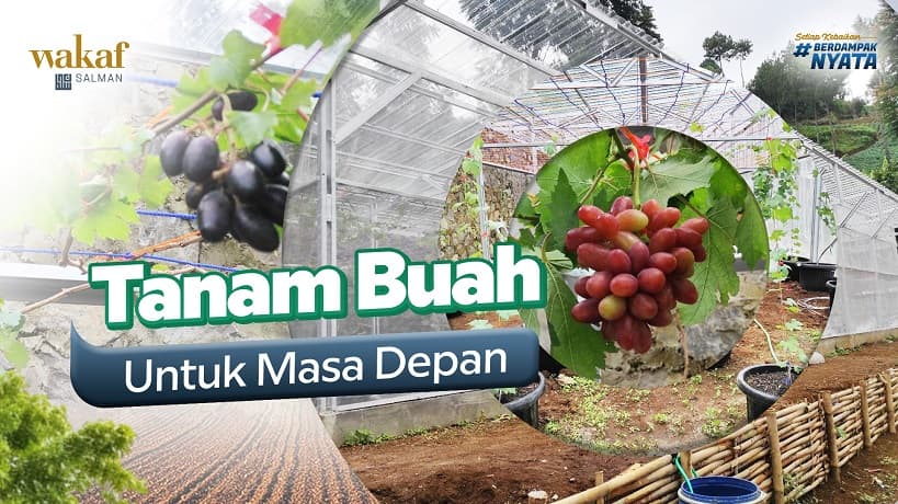 Wakaf Salman