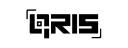 QRIS